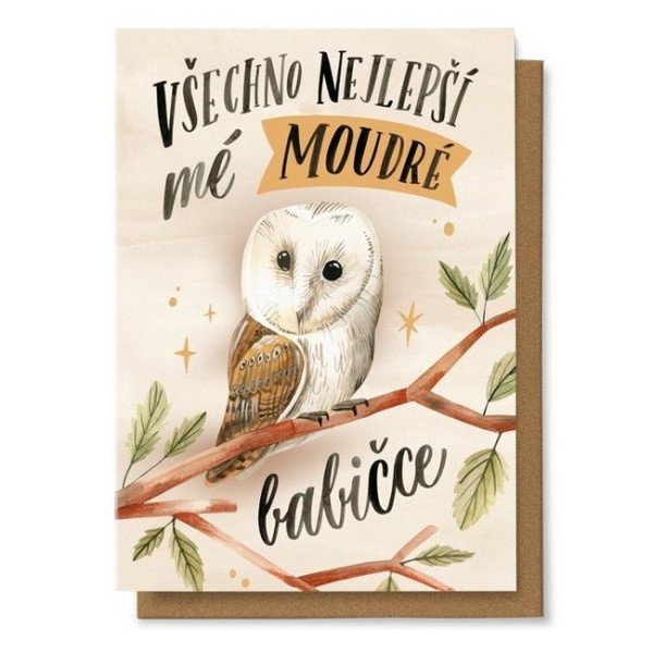 Přání - Včechno nejlepší mé moudré babičce