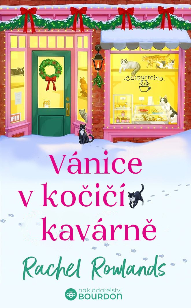 Vánice v kočičí kavárně – Rowlands Rachel