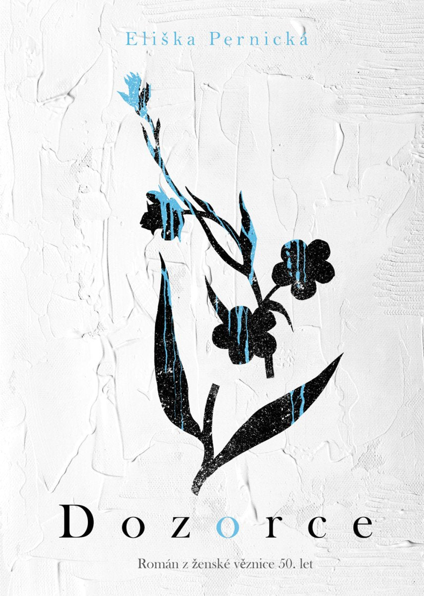 Dozorce - Román z ženské věznice 50 let – Pernická Eliška
