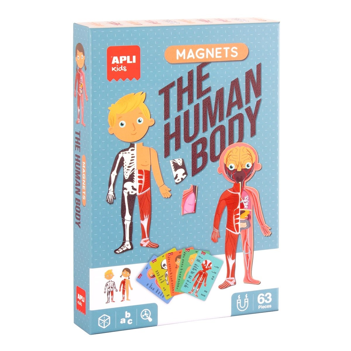 APLI edukační hra s magnety - Lidské tělo
