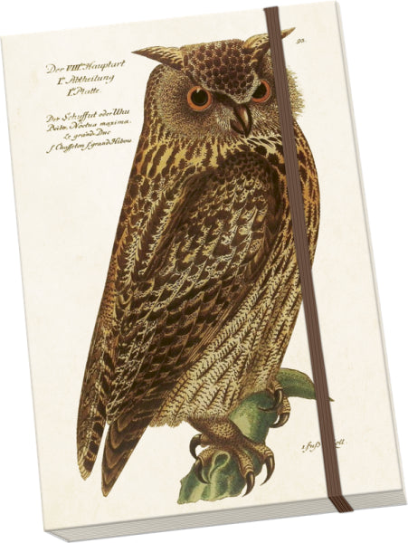 Notýsek Forest Animals - owl