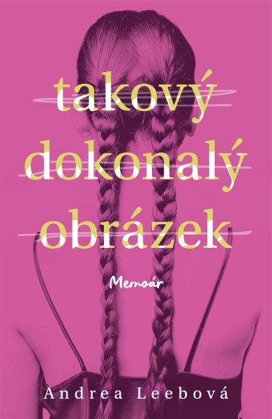 Takový dokonalý obrázek (2026)