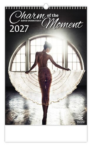 Kalendář nástěnný 2027 - Charm of the Moment