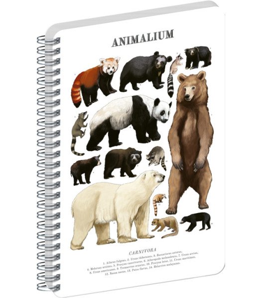 Spirálový blok Animalium - Medvědovité šelmy, čistý, A5