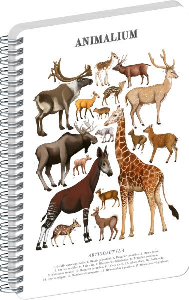 Spirálový blok Animalium - Sudokopytníci, čistý, A4