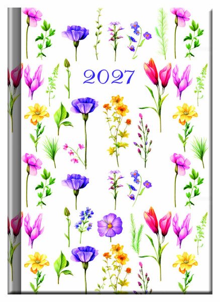 Praktik denní diář 2027 - LOUKA (A6)