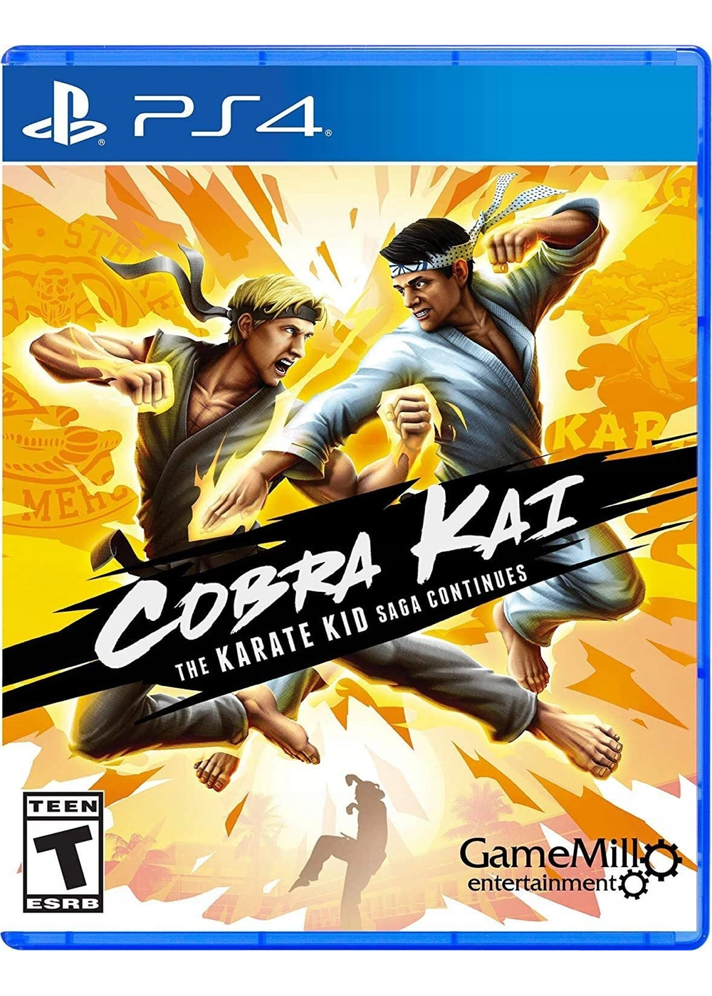 Cobra Kai: The Karate Kid Saga Continues (PS4)