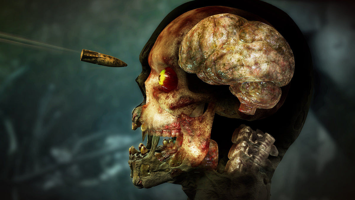 Zombie Army 4: Dead War (Nintendo Switch)