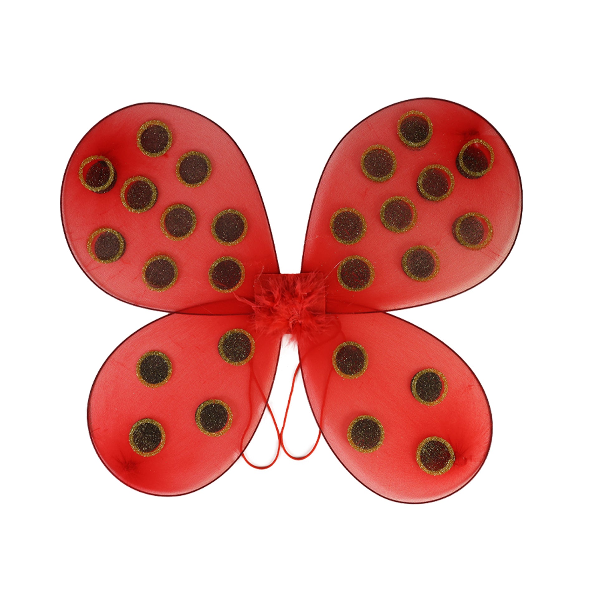 Ladybird tutu skirt costume with wings