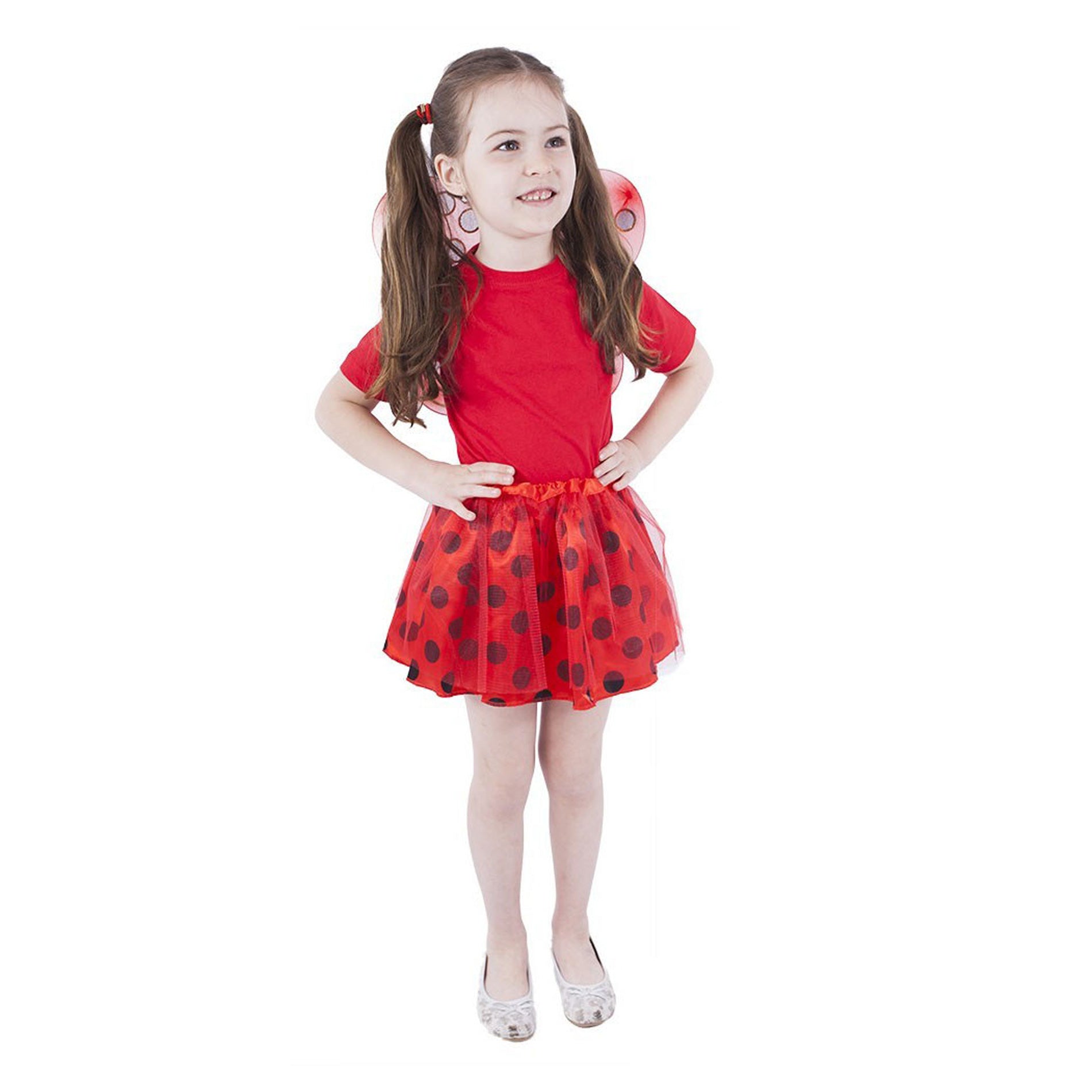 Ladybird tutu skirt costume with wings