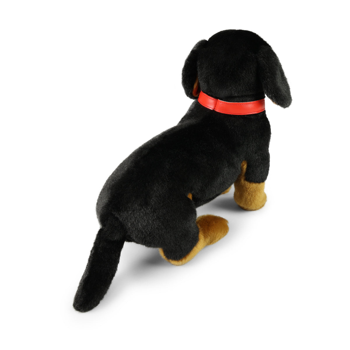Plush dachshund with collar 36 cm