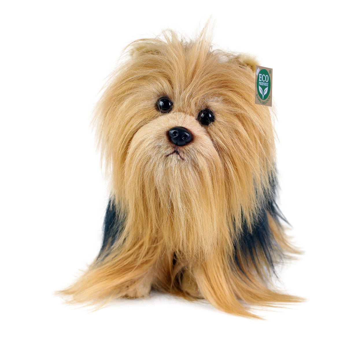 Plush Yorkshire terrier standing 30 cm