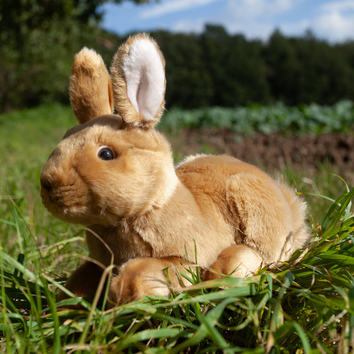 Plush brown rabbit 23 cm