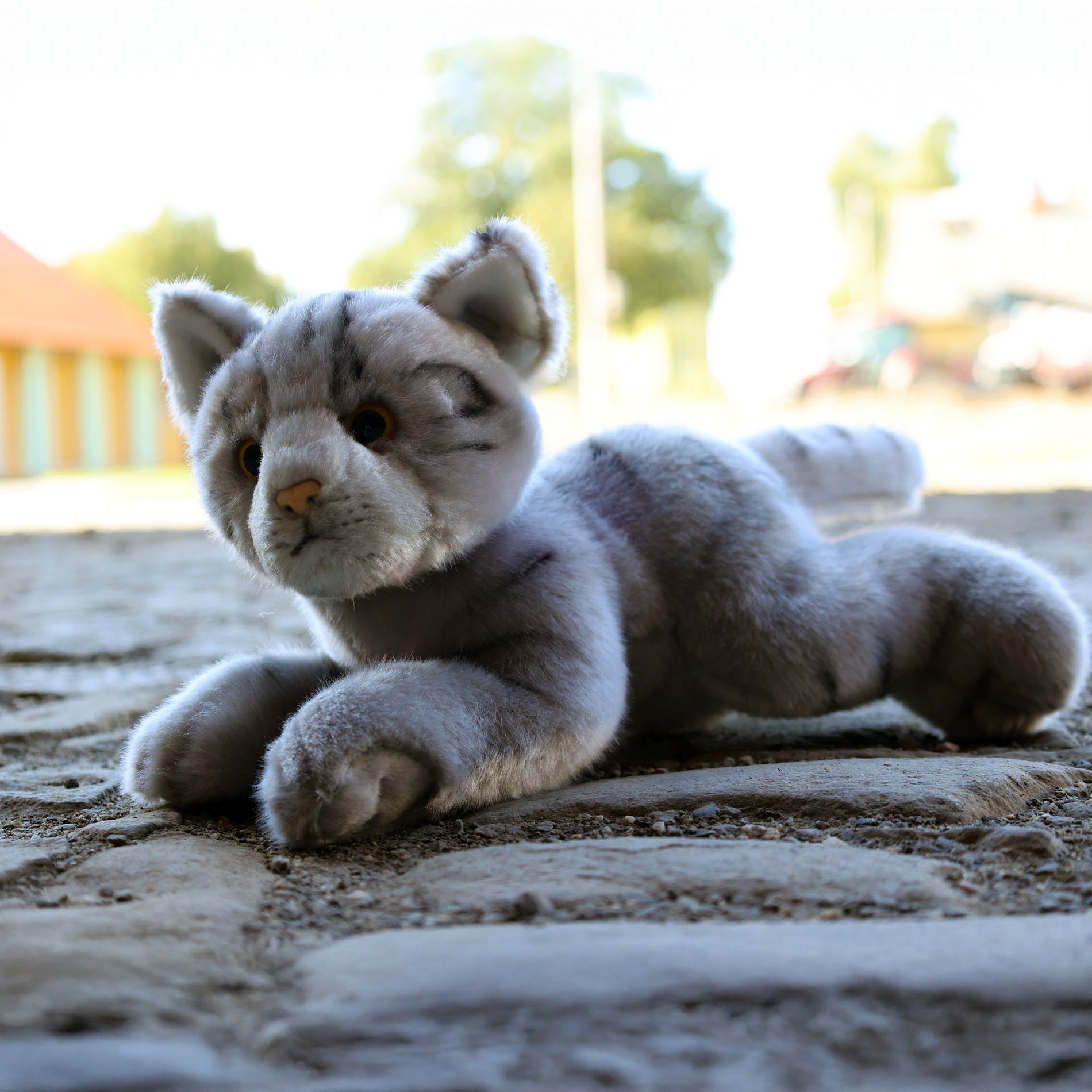 Grey plush cat 30 cm