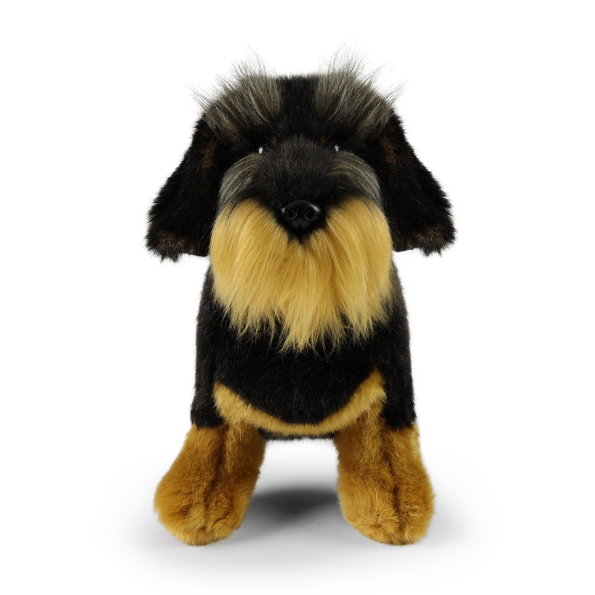 Plush Wirehaired Dachshund sitting 30 cm