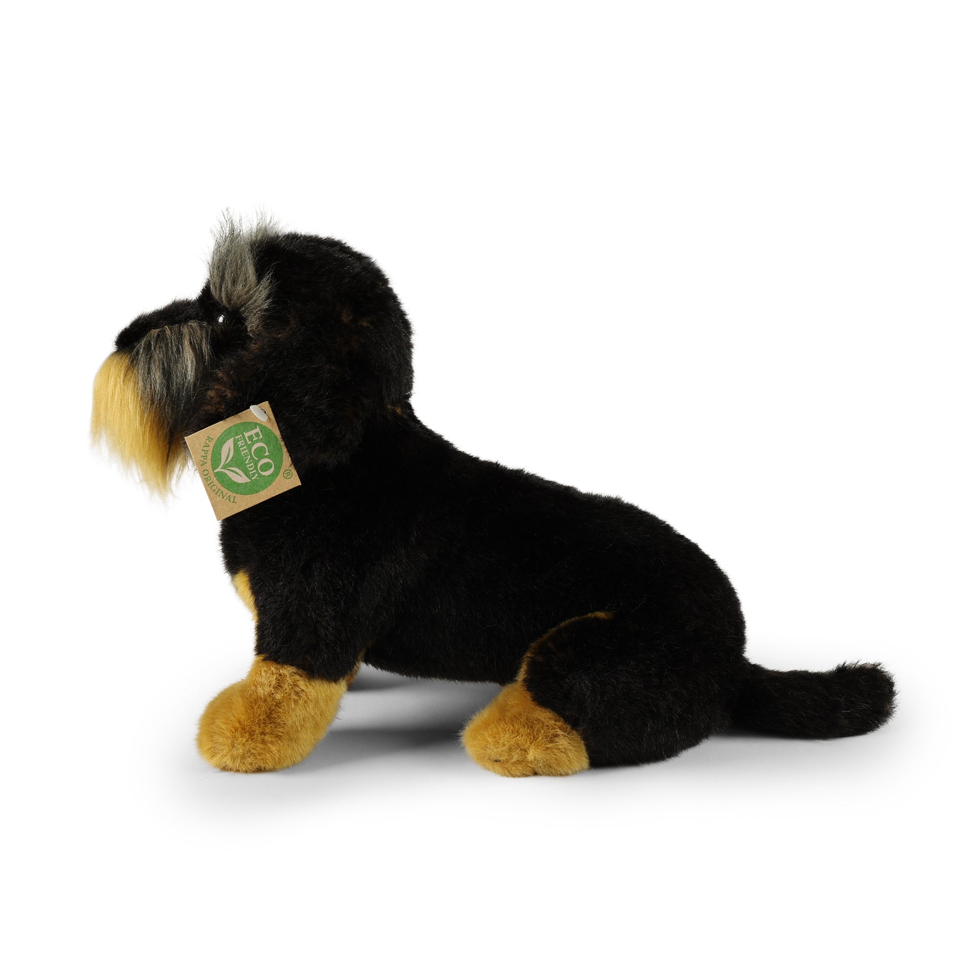 Plush Wirehaired Dachshund sitting 30 cm