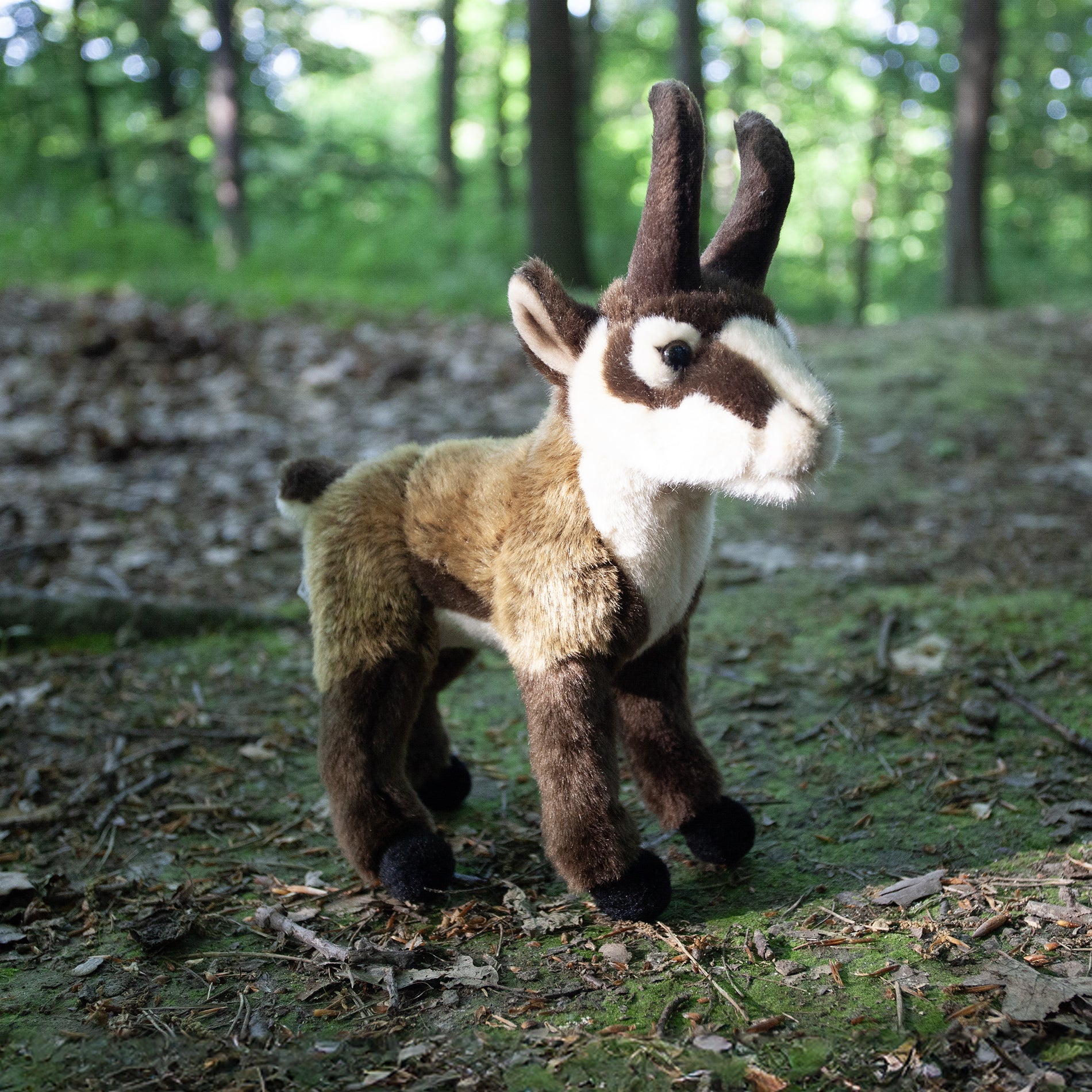 Plush chamois 20 cm