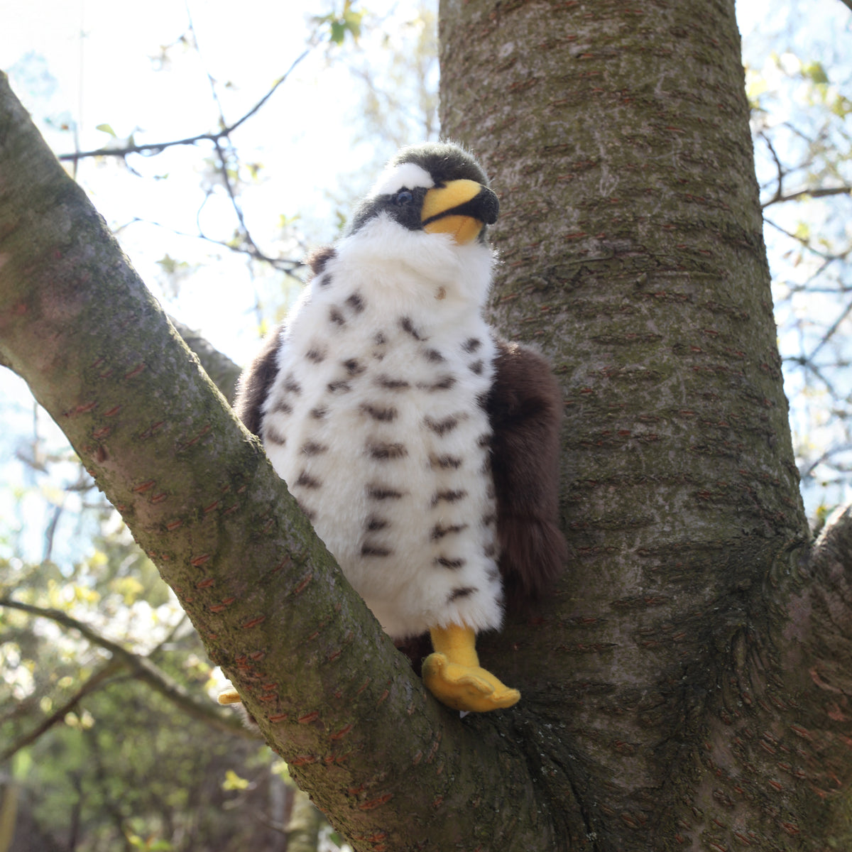 Plush hawk 23 cm