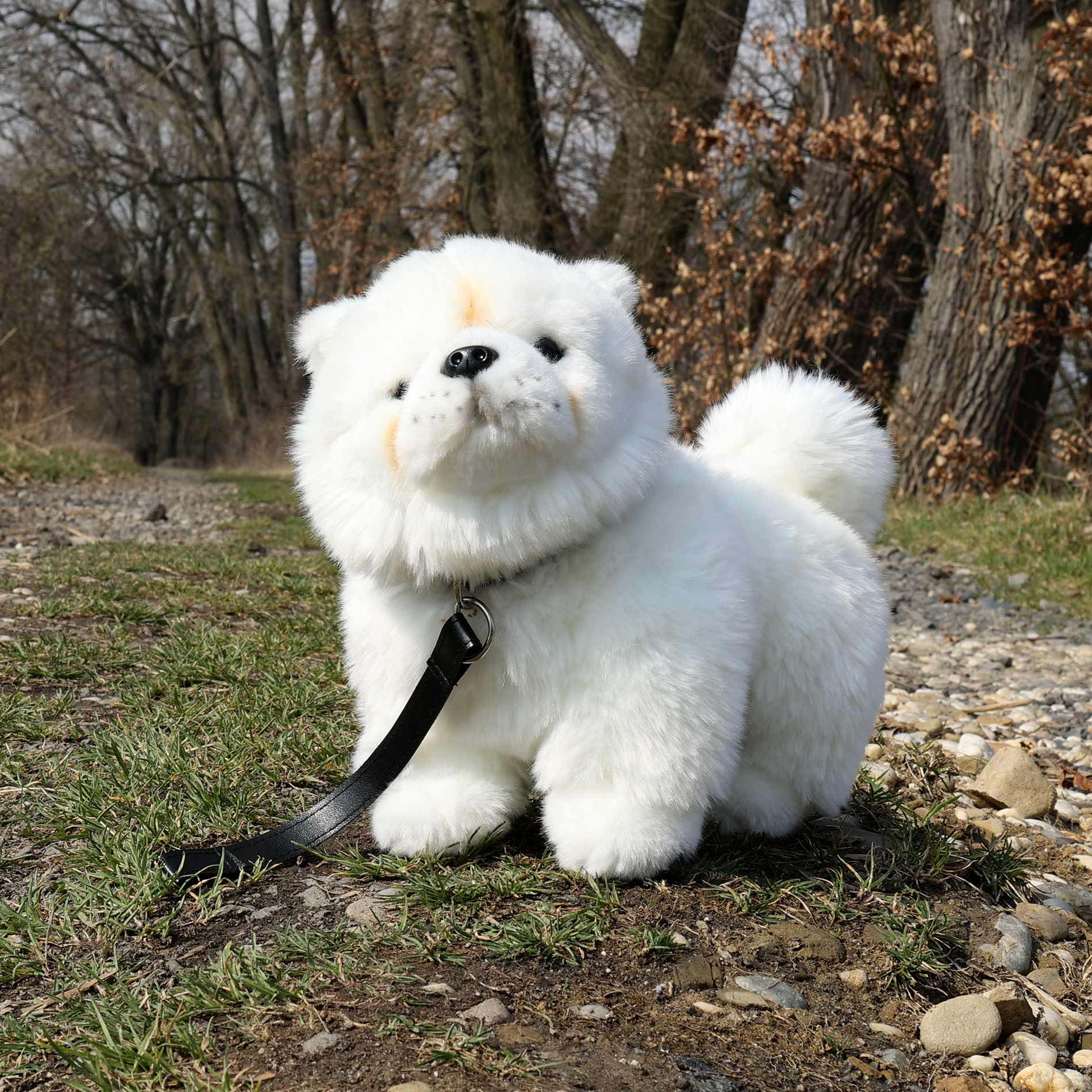Plush Chow Chow Dog with Leash 30 cm