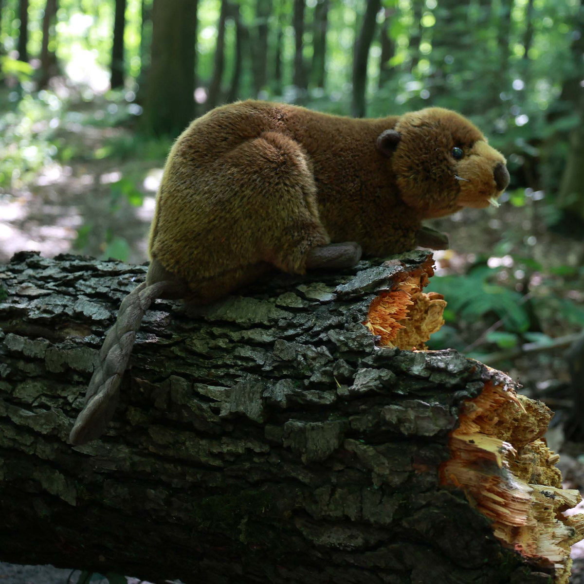 Plush beaver 28 cm eco-friendly
