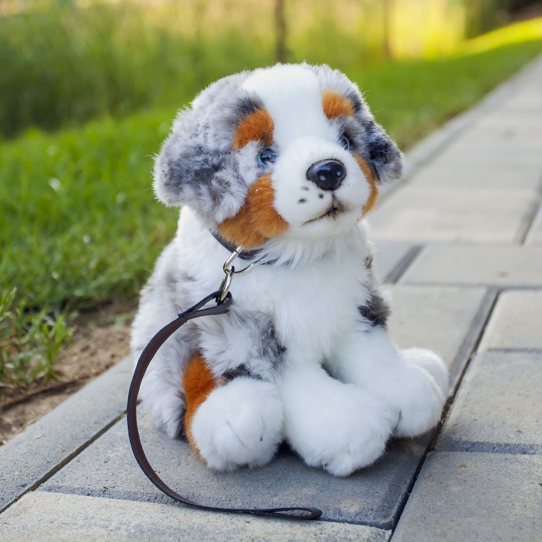 Plush Australian Shepherd with Leash 27 cm