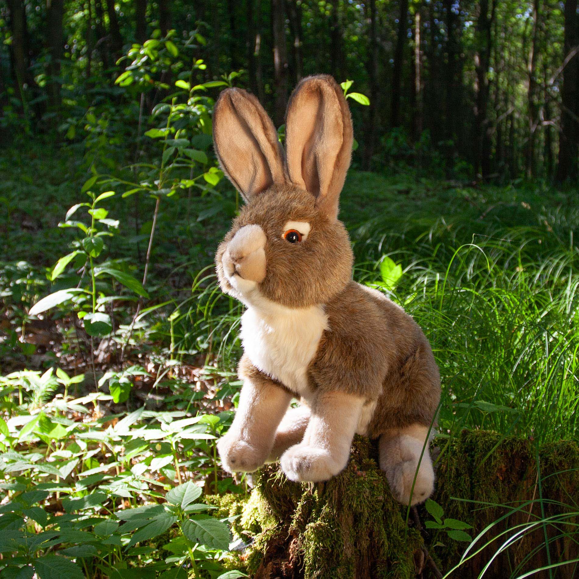 Plush rabbit 30 cm