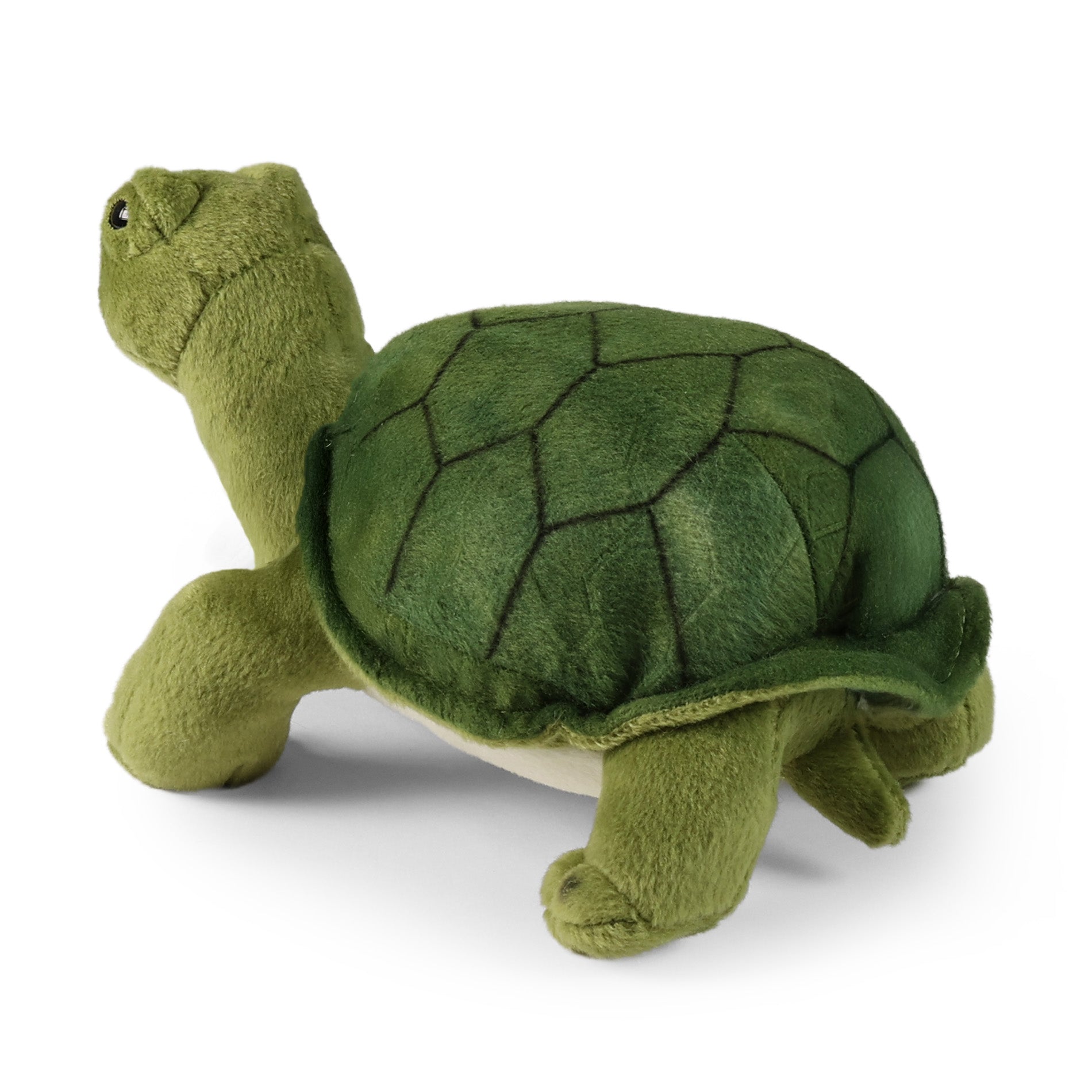 Green plush turtle Agáta 25 cm