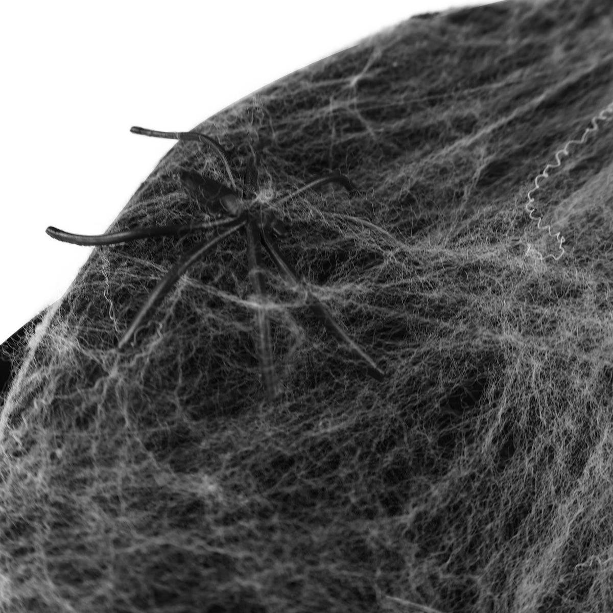 Black hat with spider web and spiders