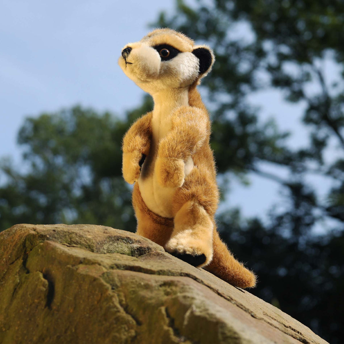 Plush meerkat 30 cm