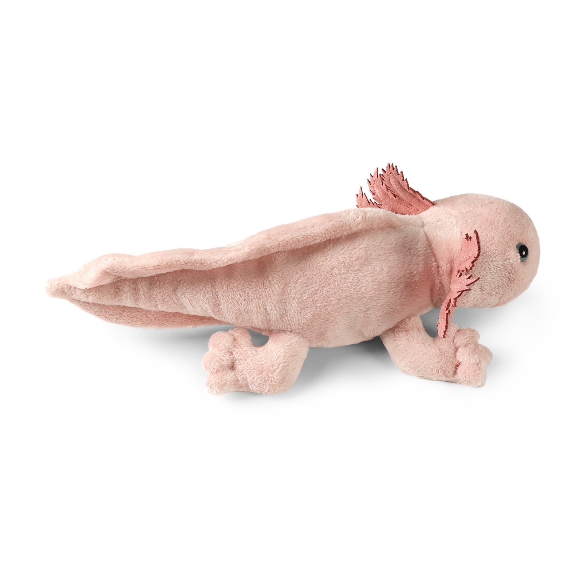 Plush axolotl 33 cm