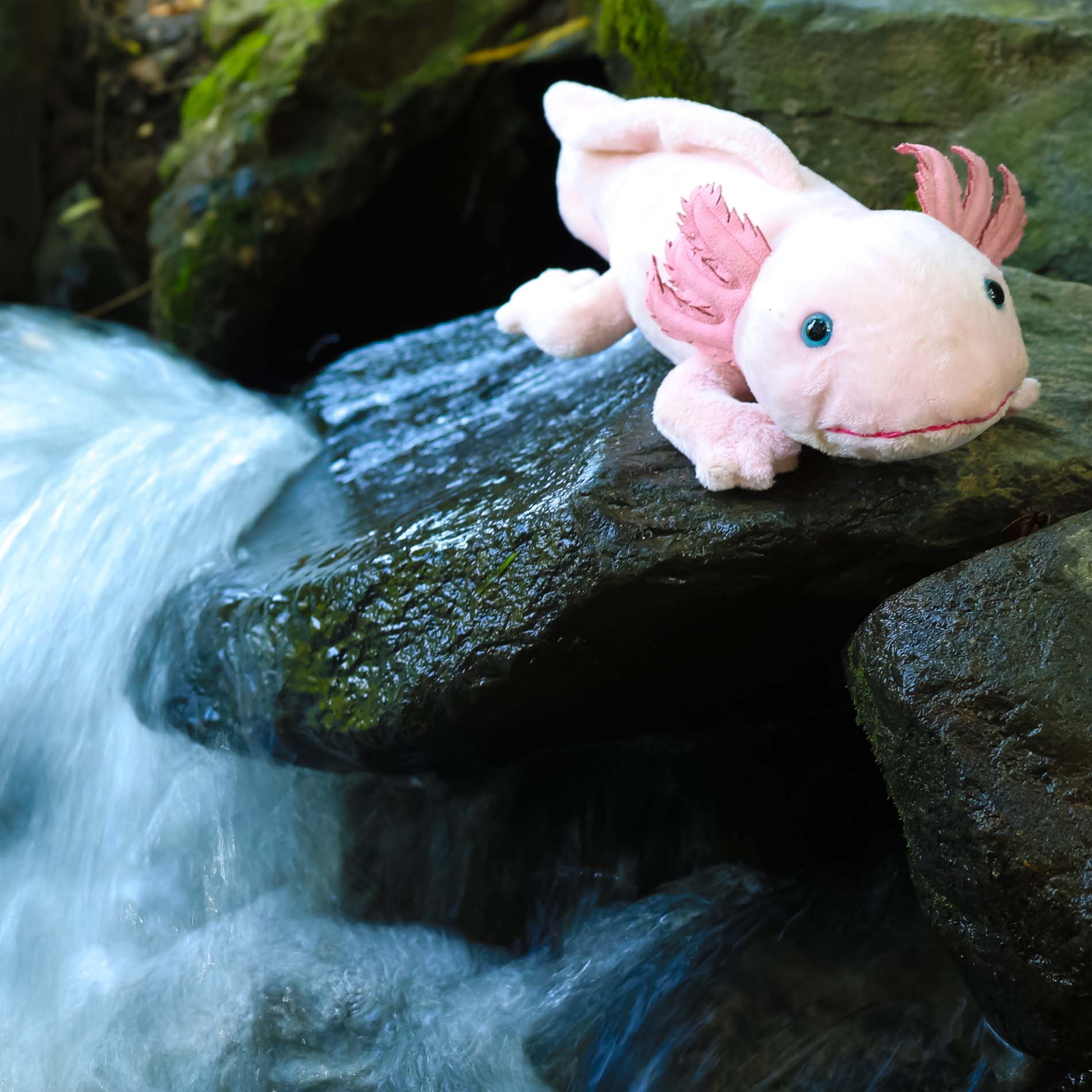 Plush axolotl 33 cm