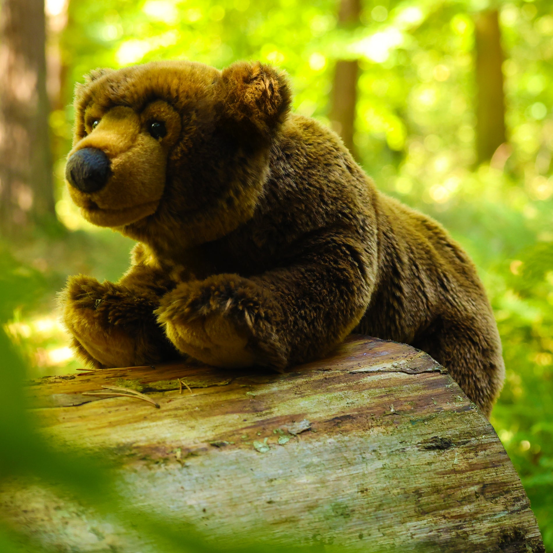 Plush brown bear 42 cm
