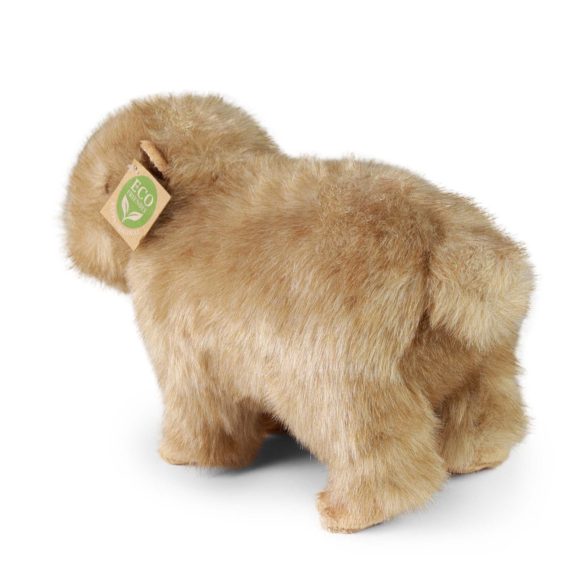 Plush Capybara 30 cm