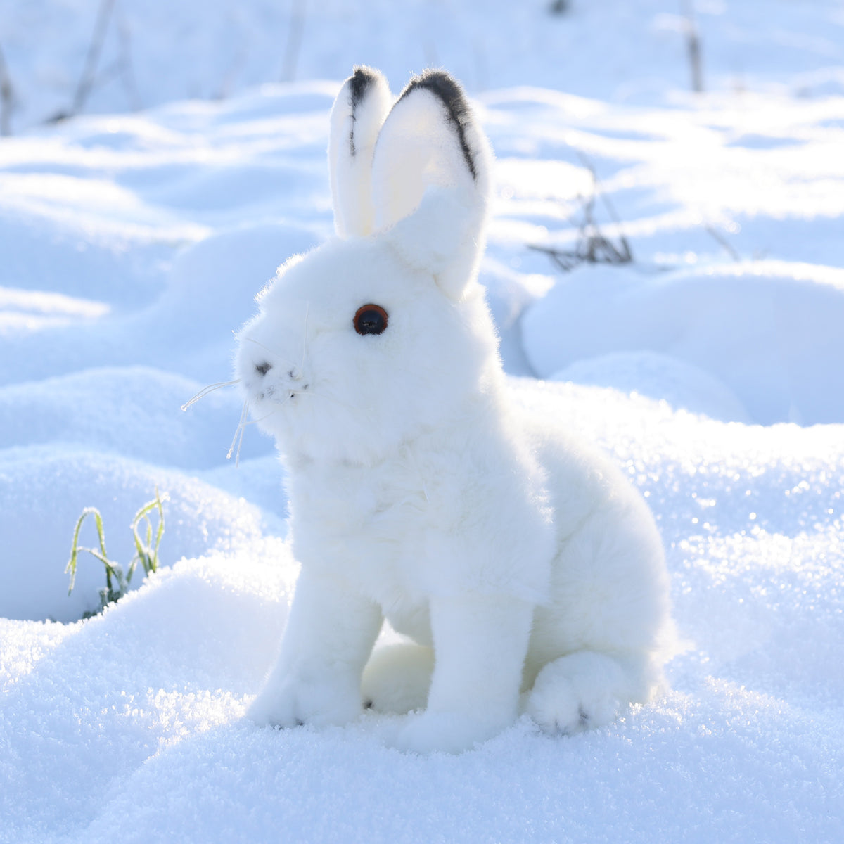 Plush polar hare 30 cm