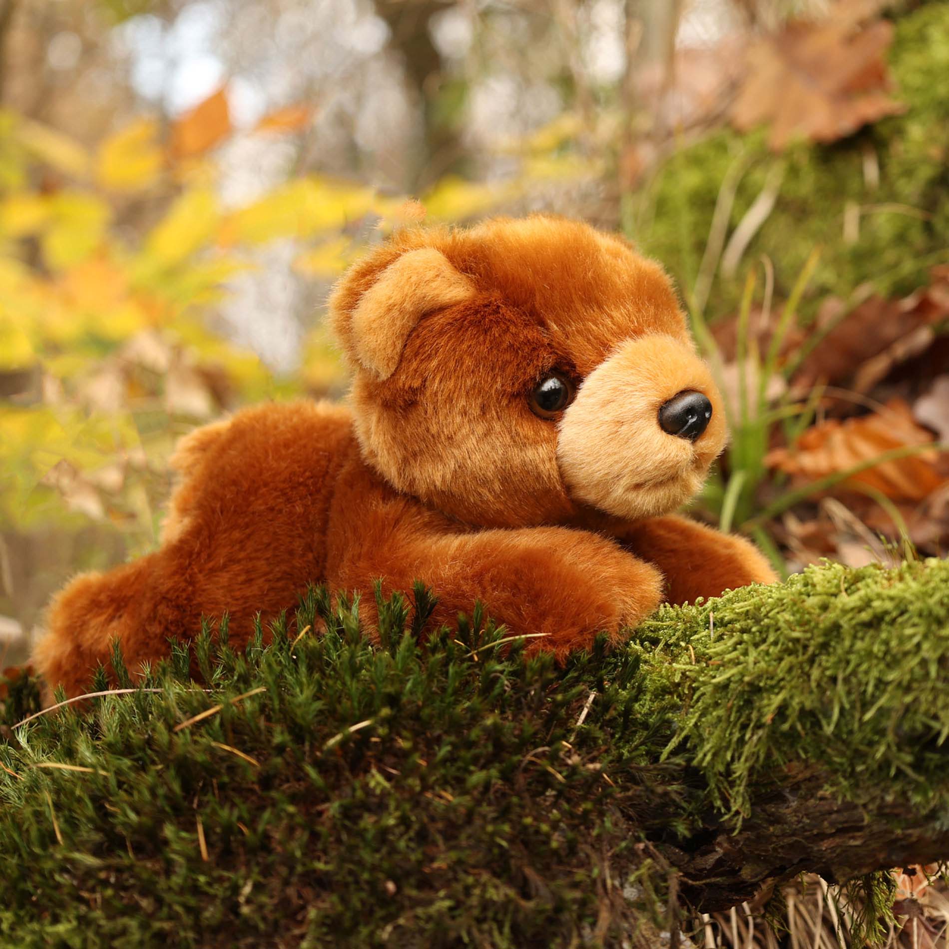 Plush brown bear 22 cm eco-friendly