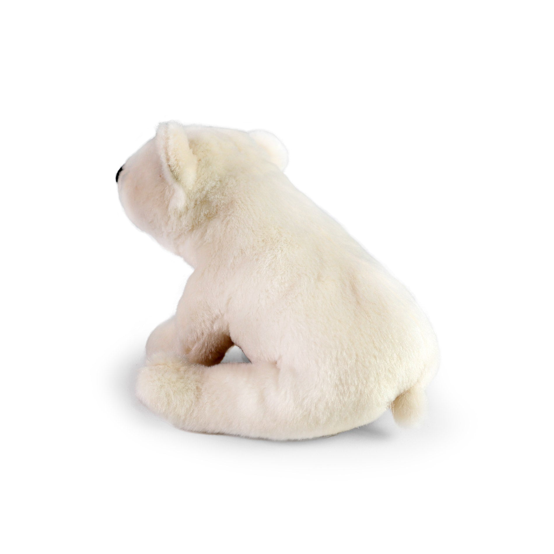 Eco-friendly plush polar bear 22 cm