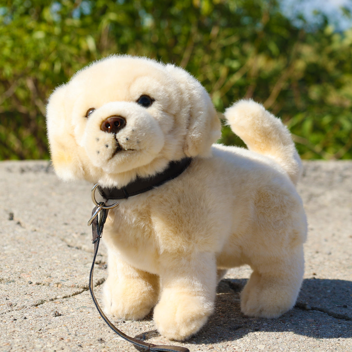 Plush Golden Retriever with Lead 25 cm