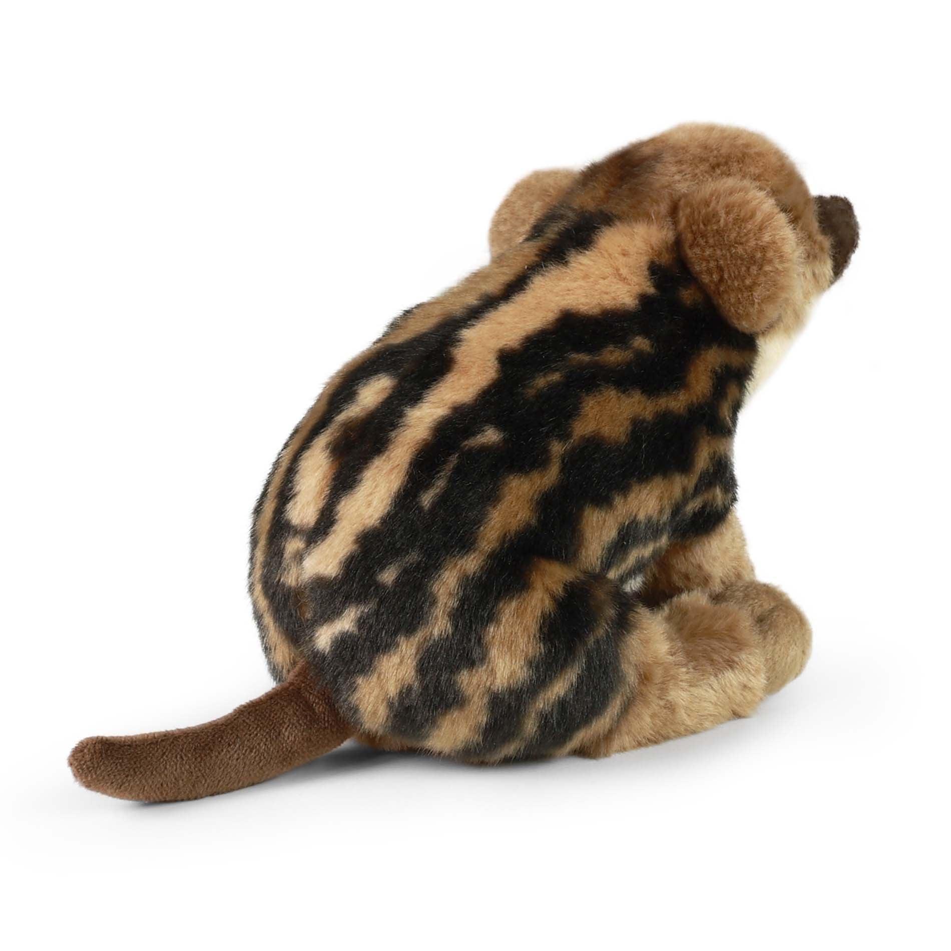 Plush wild boar baby 20 cm