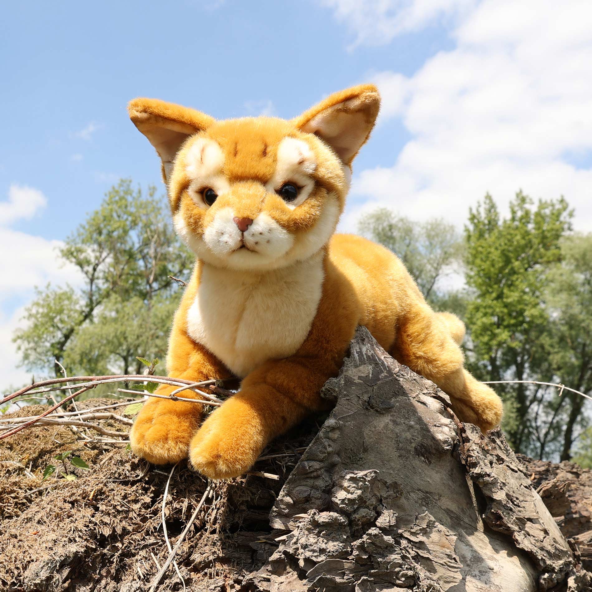 Plush Abyssinian Cat 34 cm