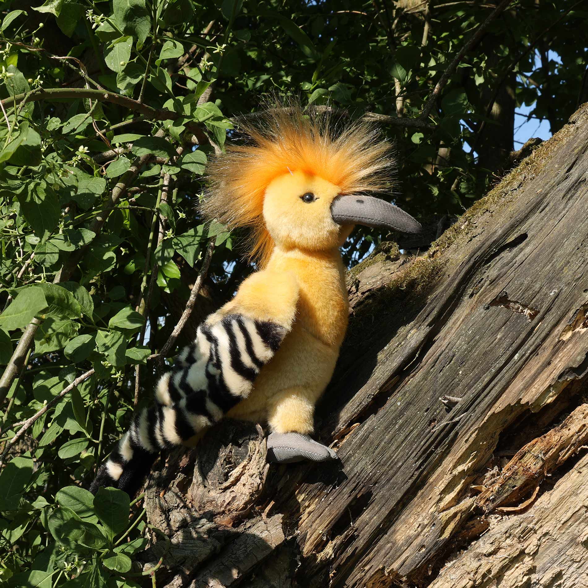 Plush crested hoopoe 22 cm