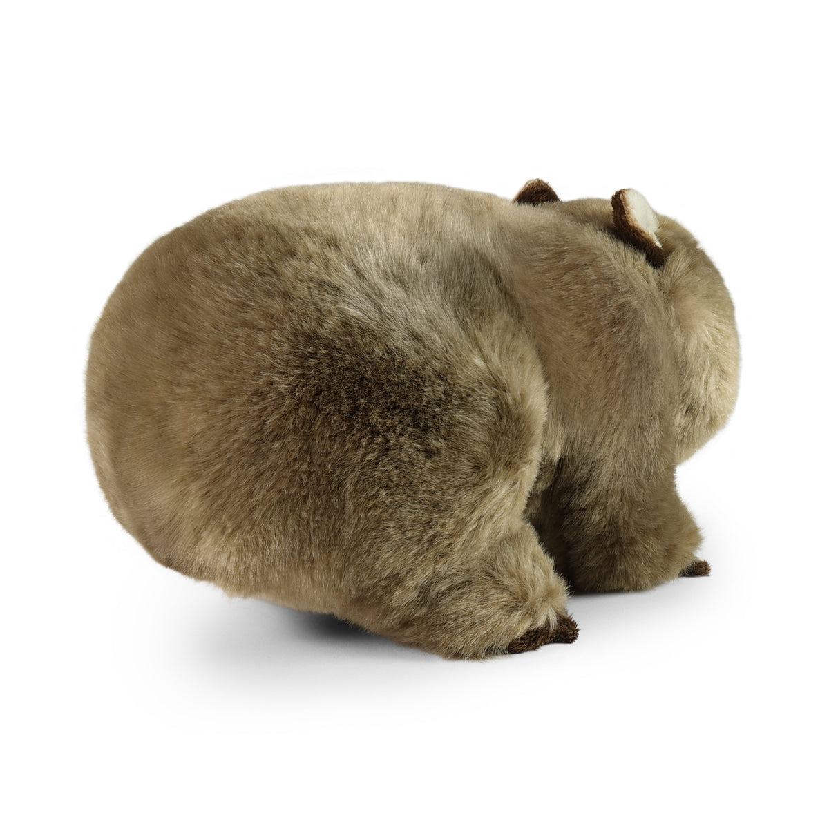 Plush wombat 28 cm
