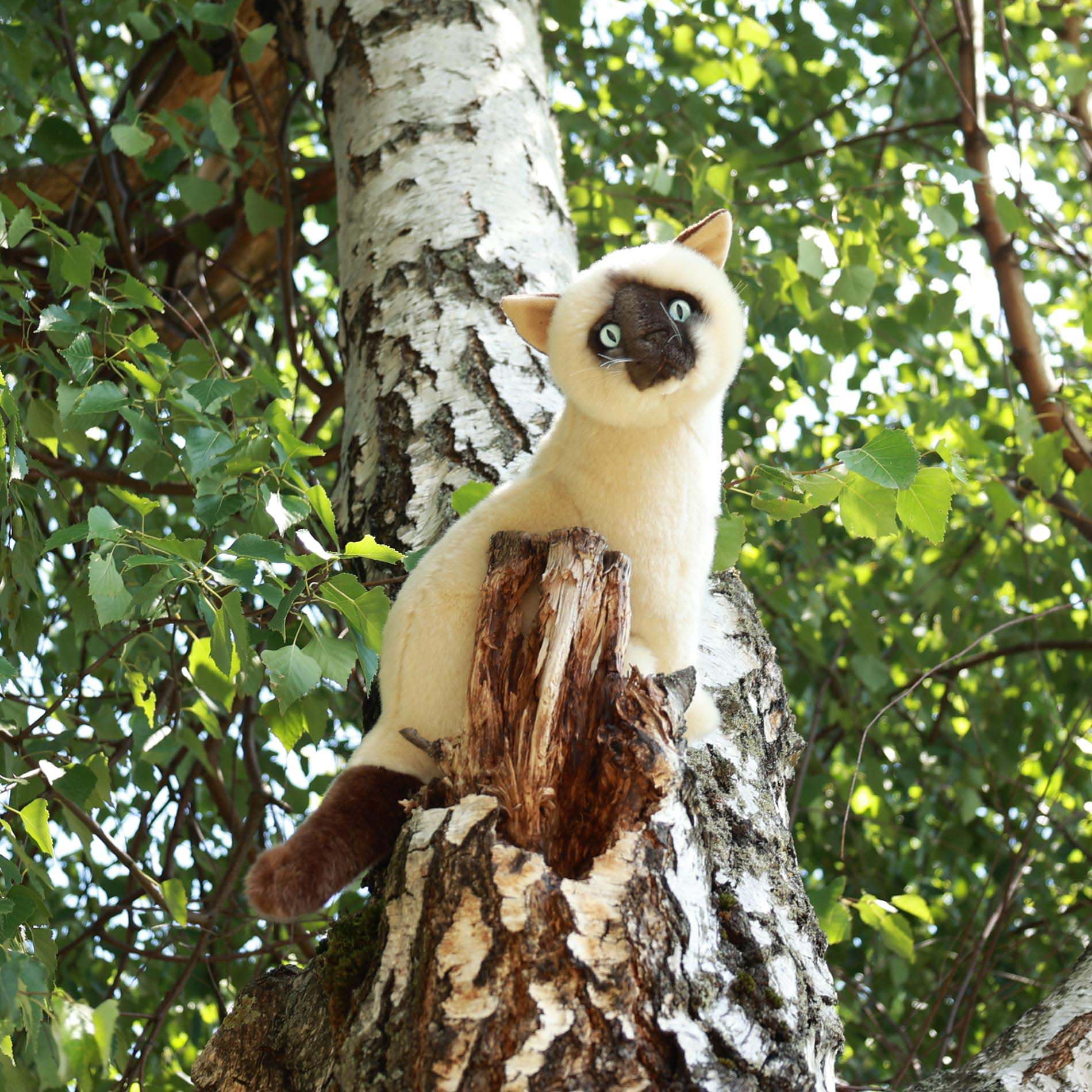 Plush Siamese cat 30 cm