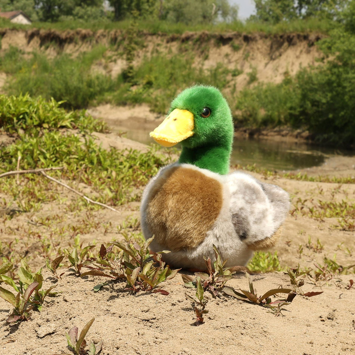 Plush mallard duck 20 cm