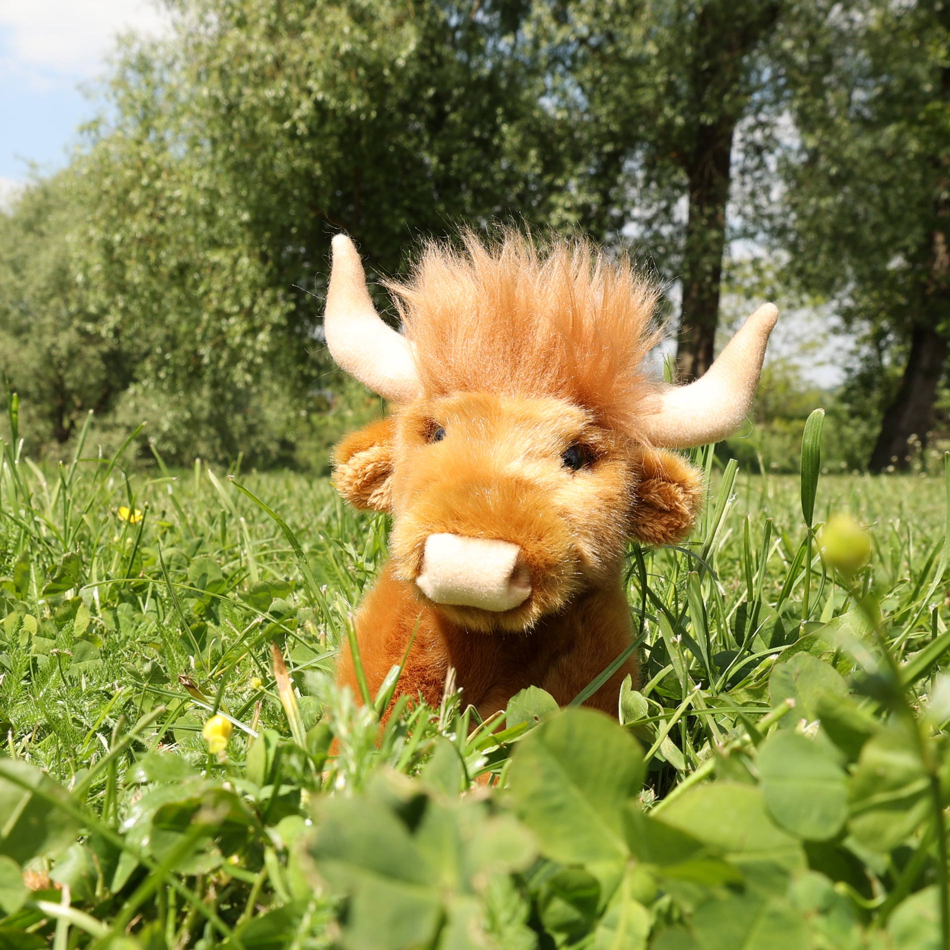 Plush Highland cattle 16 cm