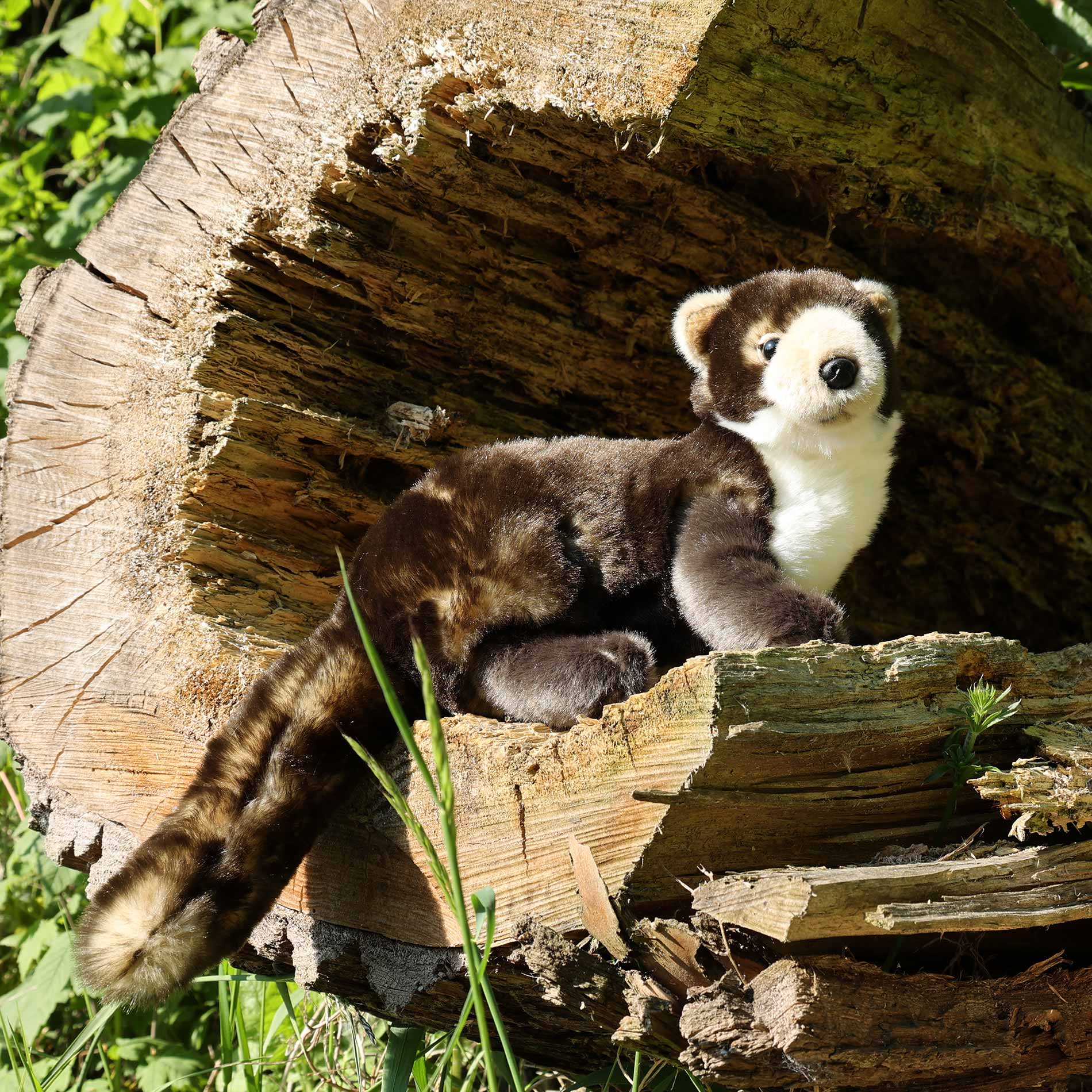 Plush marten 39 cm