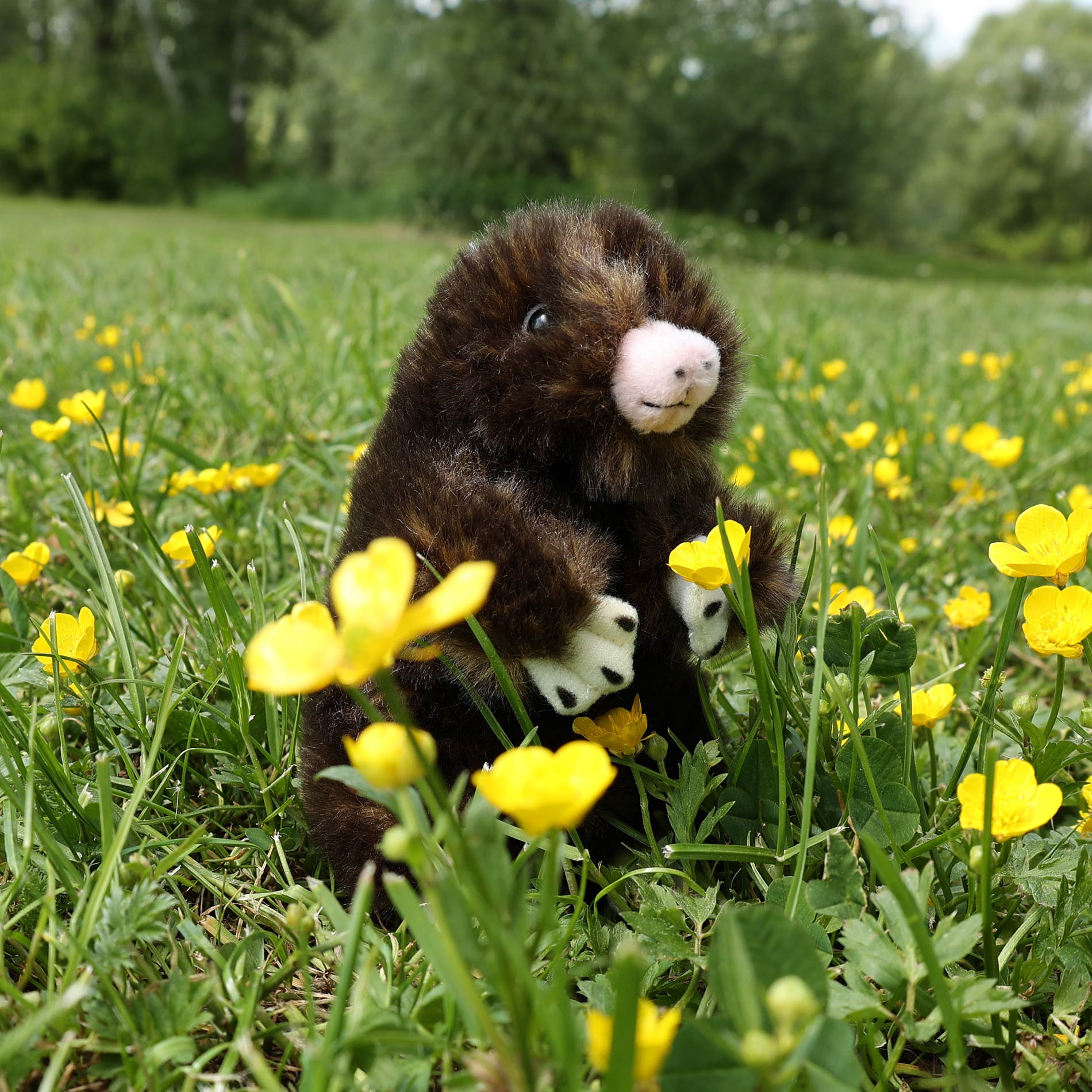 Plush Little Mole 15 cm / Krtek