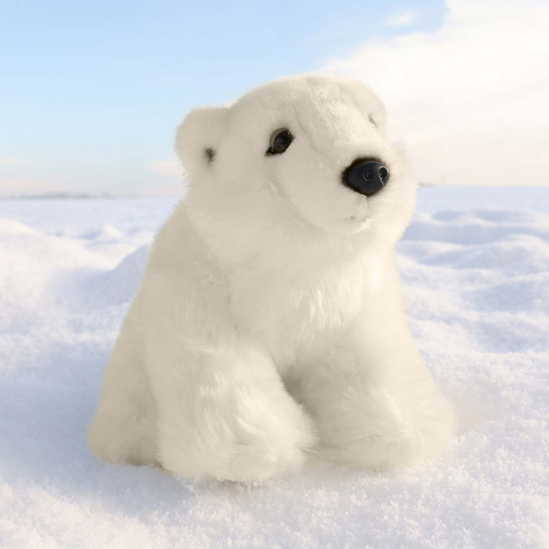 Eco-friendly plush polar bear 30 cm