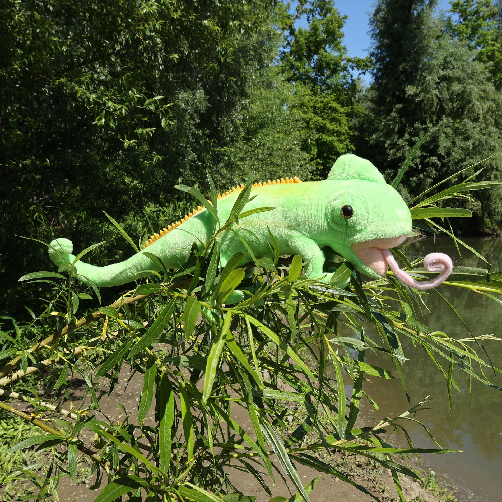 Plush chameleon 34 cm