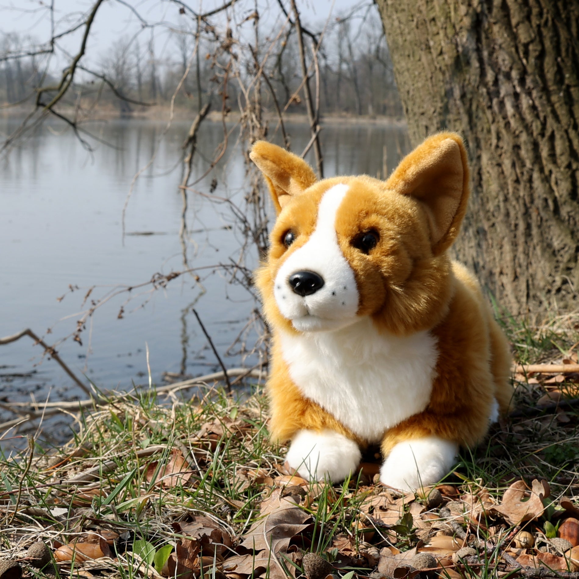 Eco-friendly Plush Corgi Dog 32 cm