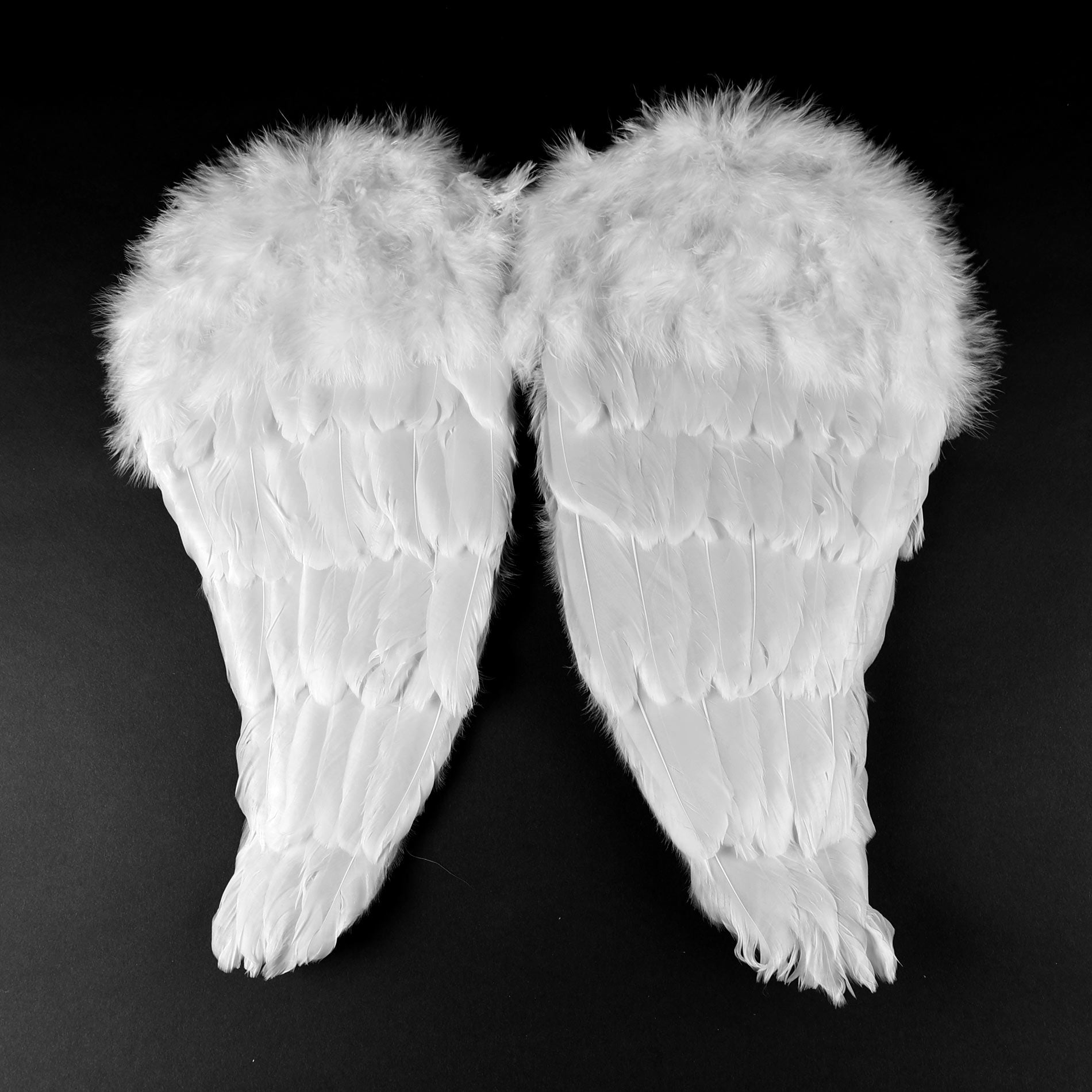 White feather angel wings 48 cm